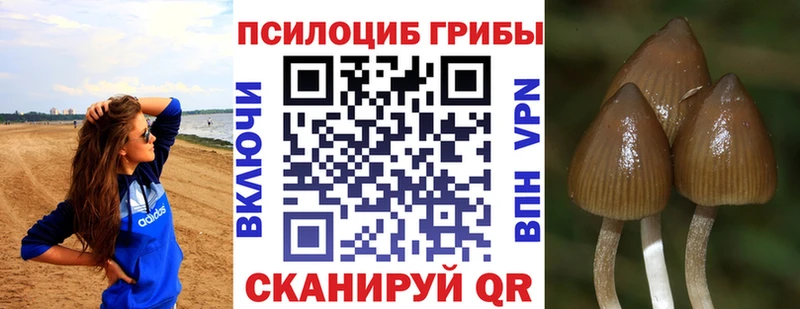 даркнет сайт  Новочебоксарск  Псилоцибиновые грибы ЛСД 