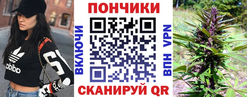 Бошки марихуана планчик  Новочебоксарск 